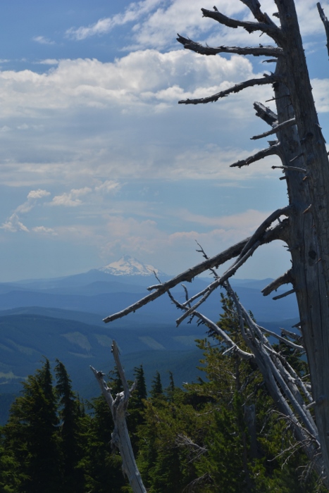 looking south to Mt. Jefferson